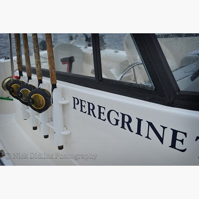 PeregrineLodge