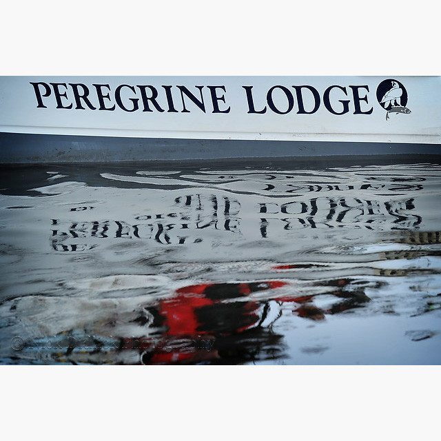 PeregrineLodge