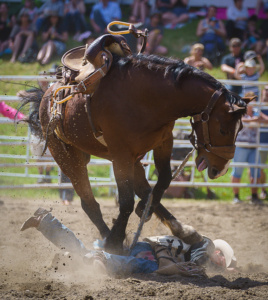 Bucking Bronco riding at the Falkland Rodeo. ©nickdidlick